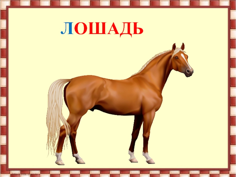 Слово пять букв коне. Лошадь для презентации. Буква л лошадь. Буква л лошадка. Звук лошади для презентации.