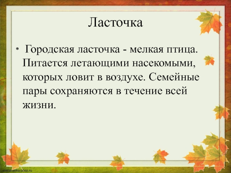 Презентация птицы оренбургской области