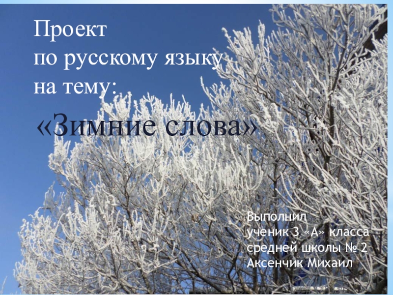 Зимние слова. Зимние слова 3 класс. Словарь о зиме. Словарь зимних слов для 3 класса. Проект зимние слова.