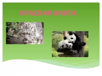 Презентация по экологии на тему Животные Красной книги