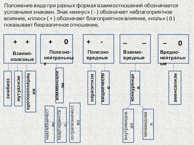 Положение минус