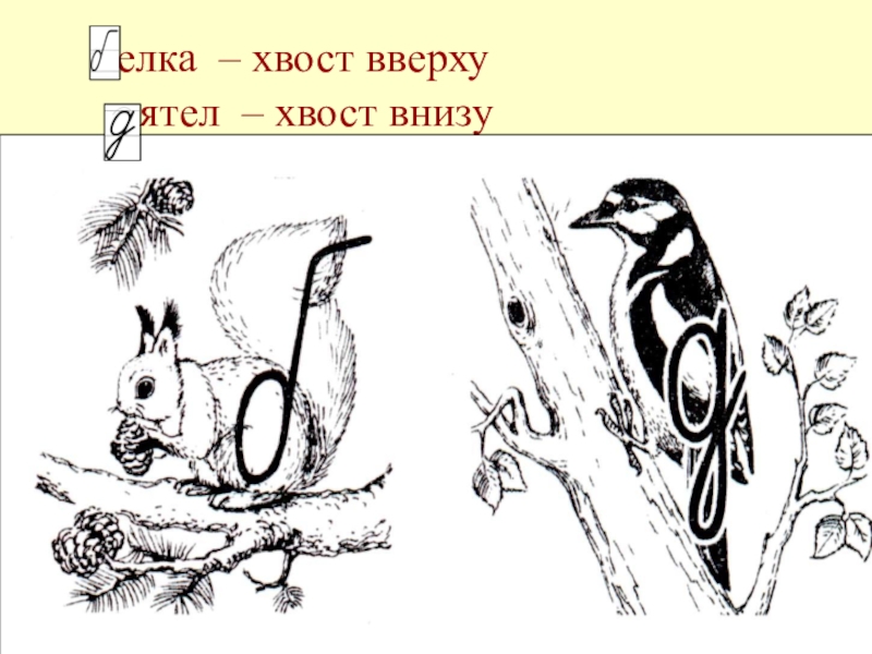 1 б д. Ребенок путает буквы б и д. Дифференциация б д. Дифференциация букв б-д. Дифференциация б-д для дошкольников.