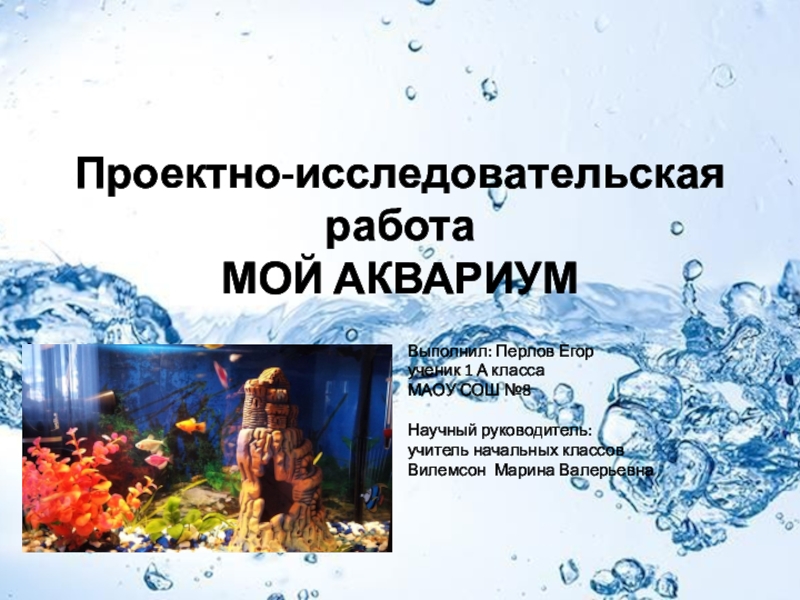 Доклад: Первый аквариум