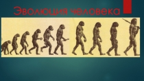 Авторская методическая разработка урока биологии Эволюция человека