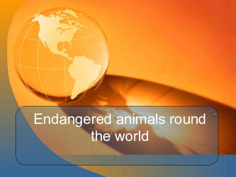 Презентация Презентация по английскому языку на тему Endangered animals round the world (9 класс)