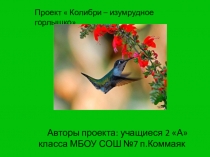 Проект по окружающему миру Колибри- изумрудное горлышко (2 класс)