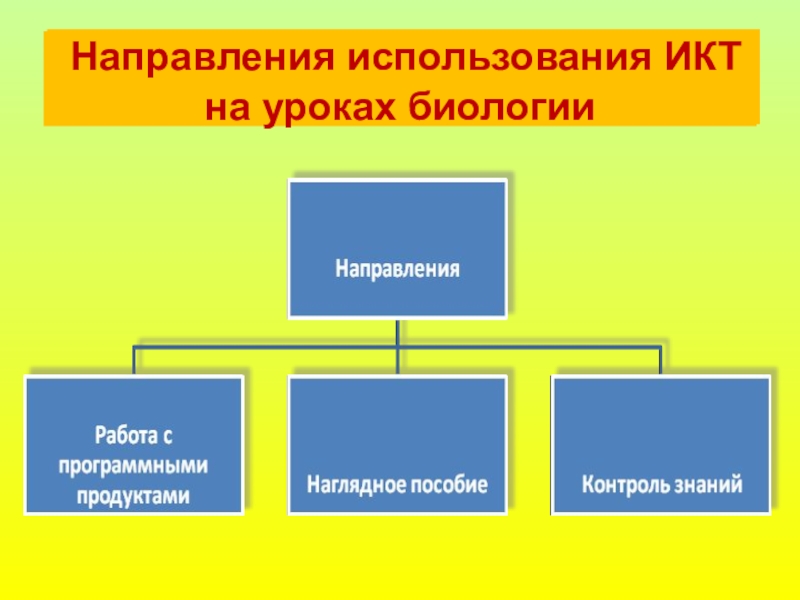 Направления биологии. ИКТ на уроках биологии. Использование ИКТ на уроках биологии. Информационно-коммуникационные технологии на уроках биологии. Применение ИКТ на уроках биологии.