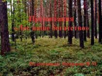 Презентация Лес наше богатство