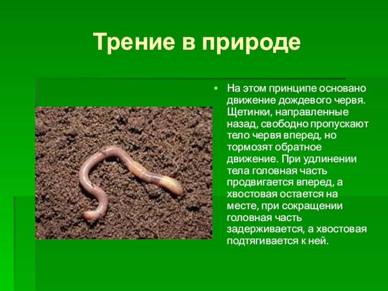 Роль червей. Трение в природе. Сила трения в природе. Сила трения в природе примеры. Презентация на тему трение в природе.