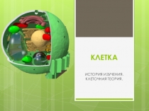 История изучения клетки.