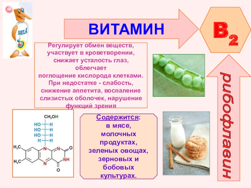 Проект по химии витамины 9 класс