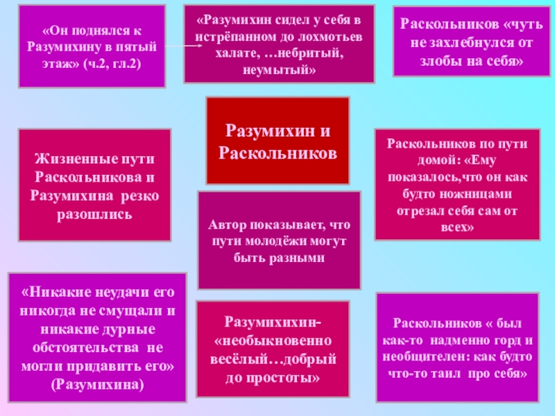 В чем суть проекта разумихина