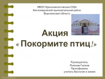 Отчет о проведении акции Покормите птиц зимой!