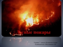 Лесные пожары