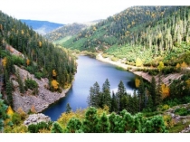 Презентация по экологии на тему Заповедники Хабаровского края