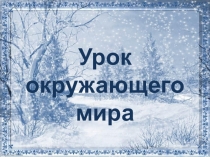 Презентация к уроку окружающего мира Зима. В декабре, в декабре...