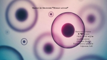 Презентация по биологии на тему Живые клетки