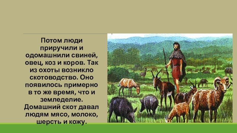 Вода и земледелие презентация по истории 6 класс 8 вид