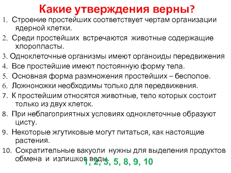 План строения простейших соответствует общим чертам организации ядерной клетки