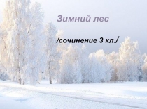 Презентация