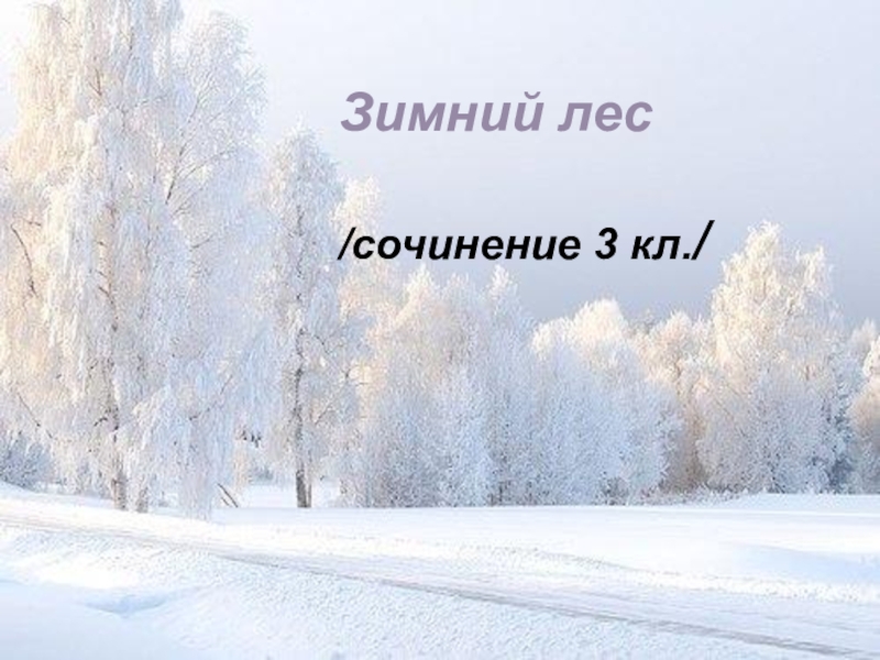 Зимний лес сочинение 3