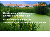 Презентация по биологии на тему Земноводные