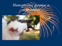 Внеклассное мероприятие Интересные факты о животных