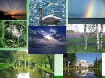 Презентация по окружающему миру 2класс Природа в опасности