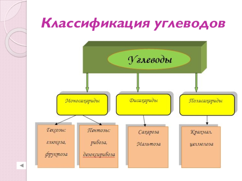 План урока на тему углеводы 9 класс