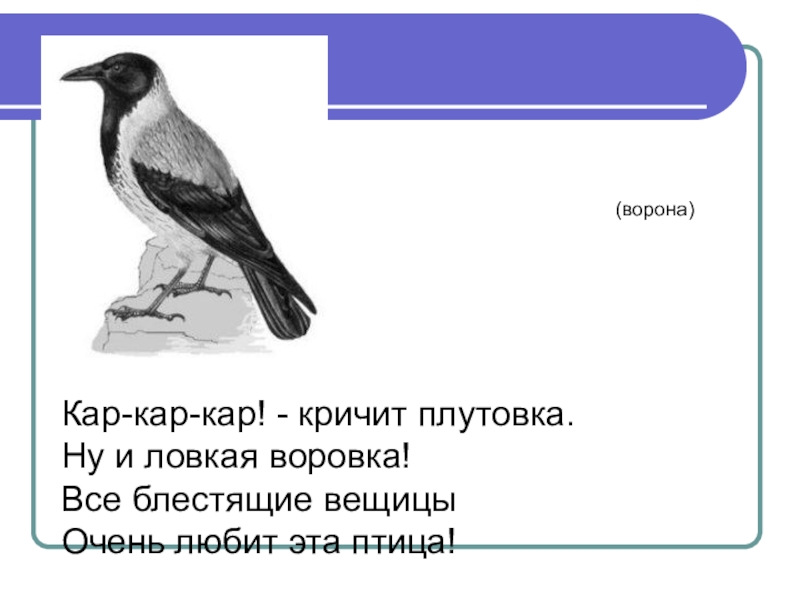 Урок ворона. Ворона кар кар. Кар кар кар кар кричит плутовка.. Кар кричит ворона. Кар кар чередование.