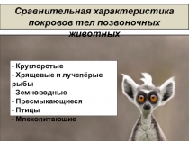 Презентация:Сравнительная характеристика покровов тела позвоночных животных