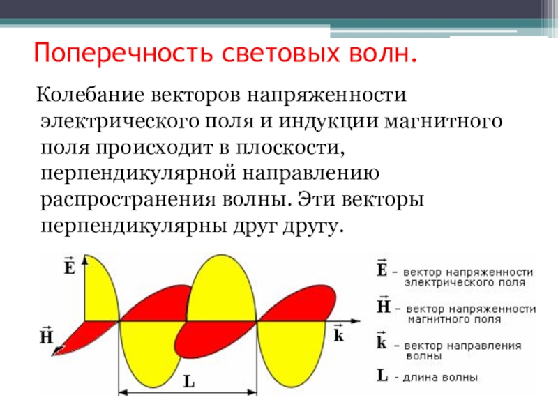 Доказано что свет. Поперечность световых волн кратко. Поперечность световых волн поляризация света. Попреночсть светоых волн. Поперечность электромагнитных волн.