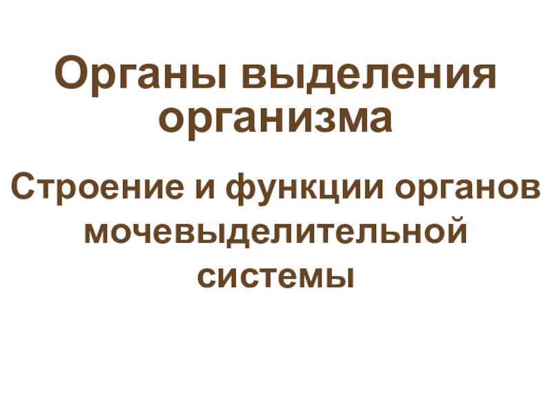 Презентация мочевыделительная система 8 класс