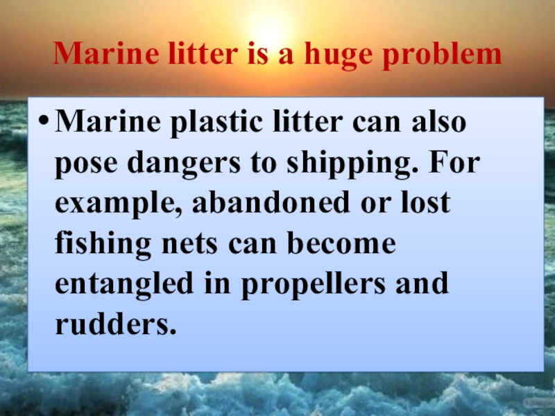 Marine litter презентация