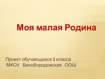 Проект Моя малая Родина групповой, в рамках курса Проектная деятельность и предмета окружающий мир. 1 класс