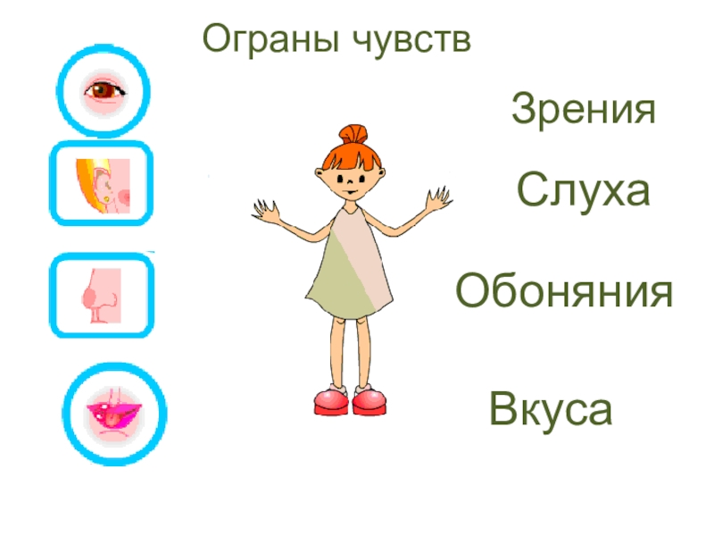 Органы чувств класс. Органы чувств 1 класс. Органы чувств задания для дошкольников. Органы чувств схема. Органы чувств человека 1 класс.