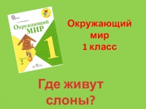 Методическая разработка урока по окружающему миру на тему СЛОНЫ