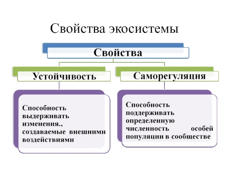 Экосистема план урока