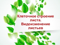 Презентация по биологии на тему Клеточное строение листа. Видоизменение листьев. 6 класс