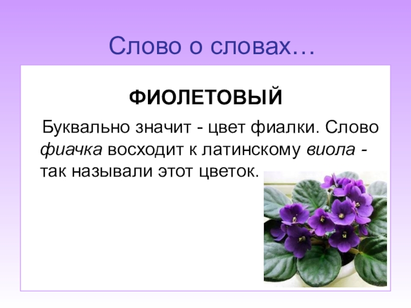 История возникновения этимологии. Фиолетовый цвет в психологии. Фиолетвыйцвет в психологии. Доклад про фиолетовый цвет. Цветовая символика: лиловый.