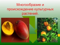 Презентация по биологии на тему Центры происхождения растений