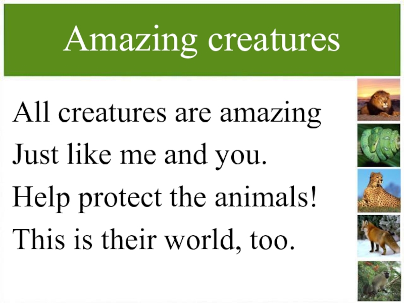 Amazing creatures 5. Amazing creatures 5 класс. Amazing creatures 5 класс Spotlight. Spotlight 5 amazing creatures. Английский язык 5 класс amazing creatures.