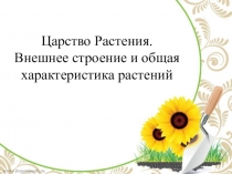 Презентация по биологии Царство растений. Внешнее строение и общая характеристика (6 класс)