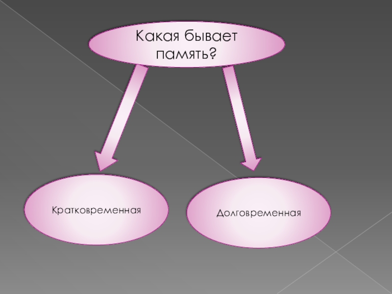 Презентация на тему память биология