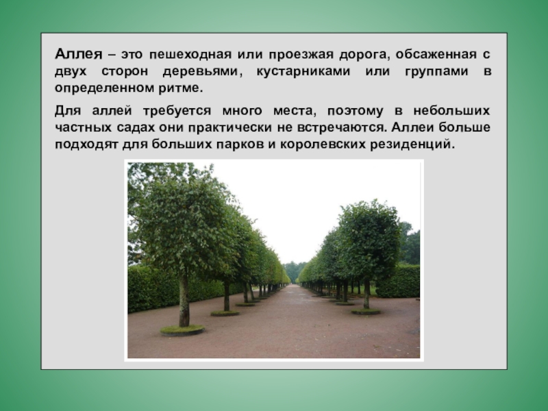 Краткое содержание аллея. Описание аллеи. Аллея это определение. Парк это определение для детей. Аллея это определение для детей.