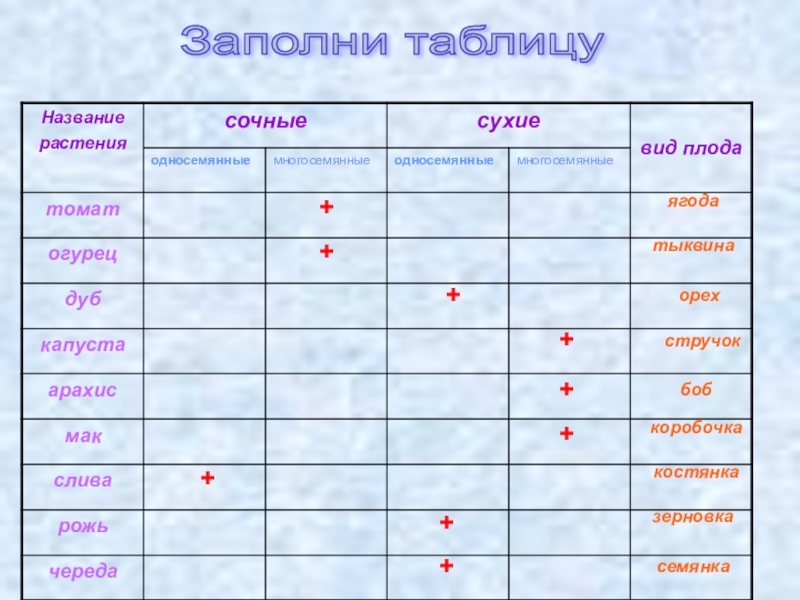 Проанализируйте таблицу типы плодов. Название растения название плода. Таблица название плода. Назватие растение название плода. Название плода Тип плода.