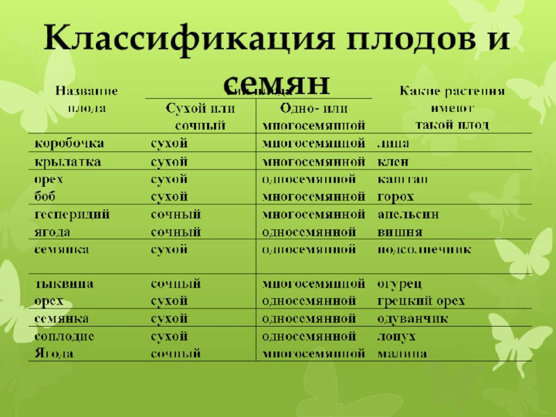 Составить схему классификации плодов 6 класс биология