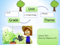 Презентация по английскому языку на тему Plants