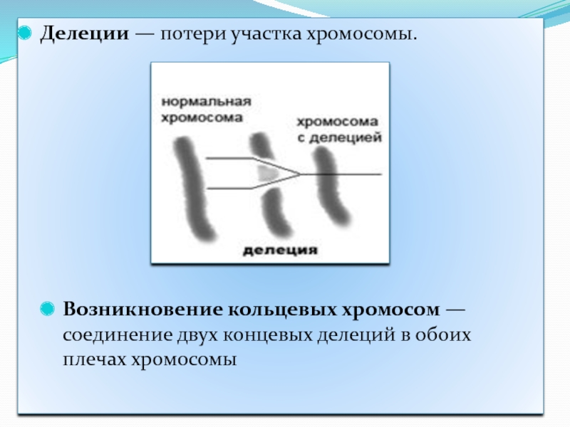 Хромосомные удвоение участка хромосомы