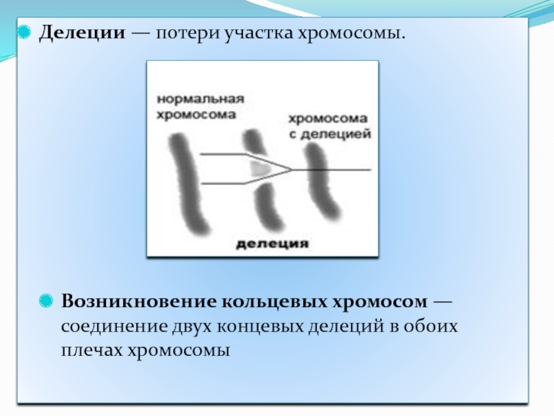 Кольцевая хромосома расположена